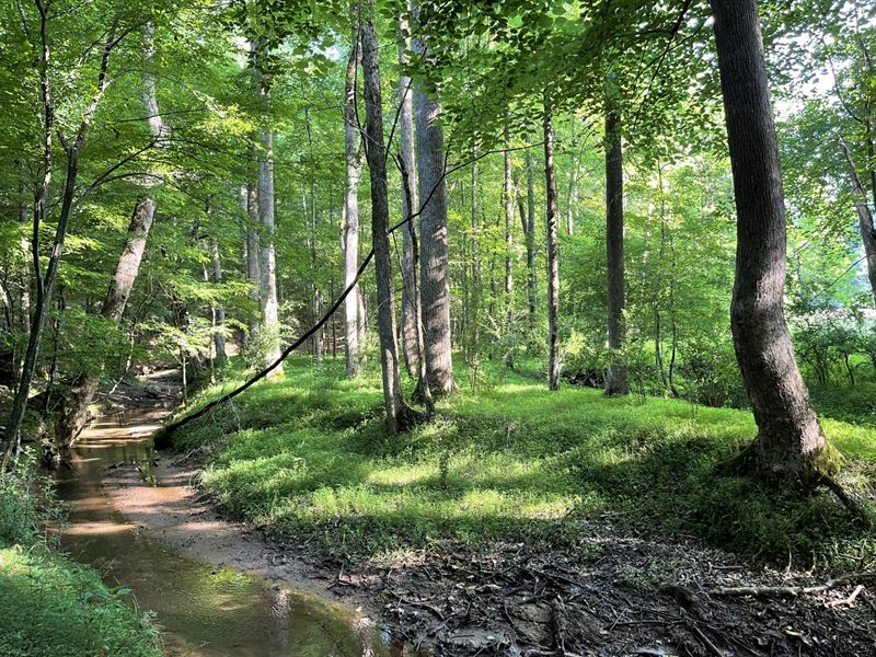 25 Acres Tract 2, Banks Co, GA : Homer : Banks County : Georgia