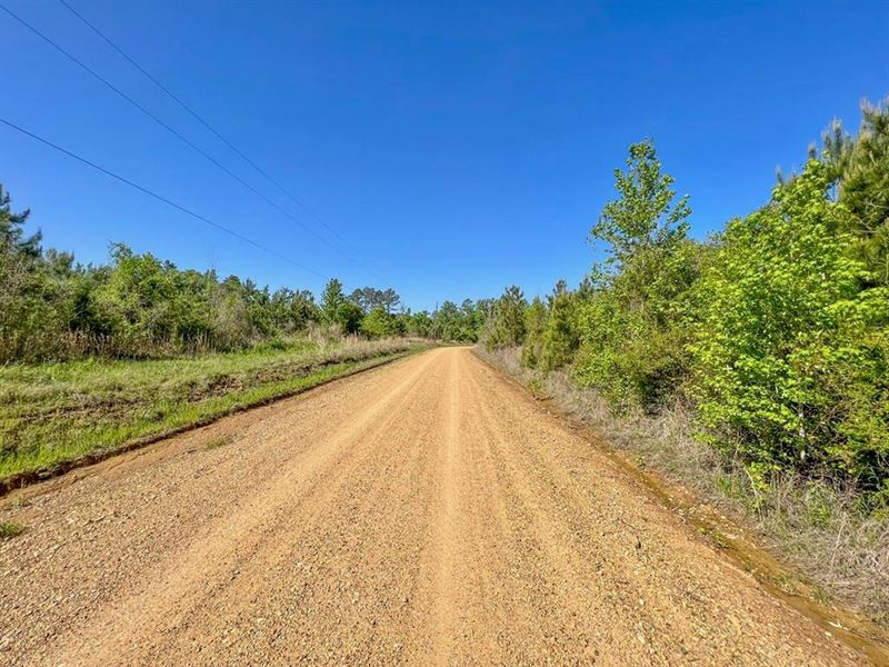 33 Acres Hunting/Recreational Land : Bastrop : Morehouse Parish : Louisiana