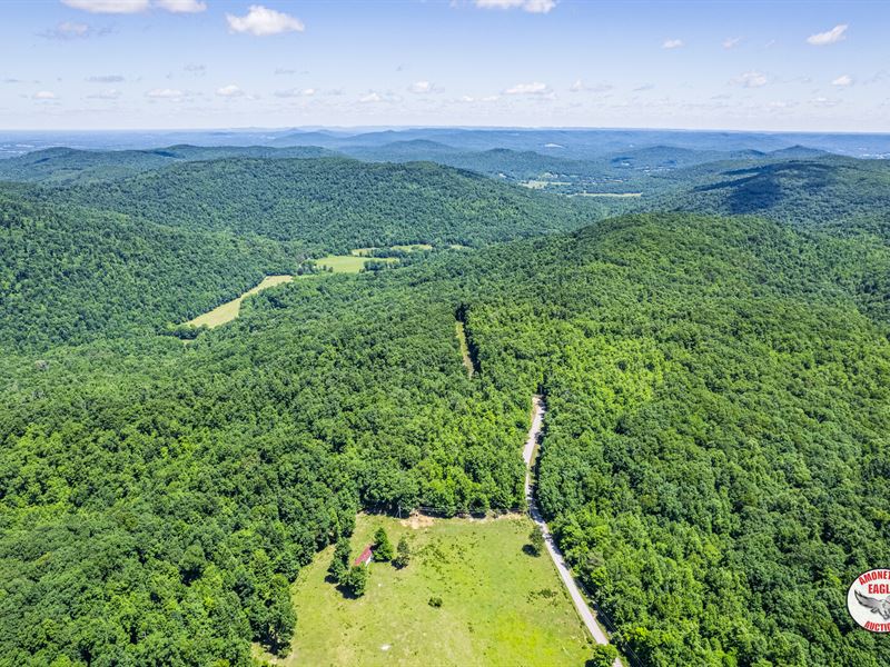 462+/- Acres with Timber : Jamestown : Fentress County : Tennessee