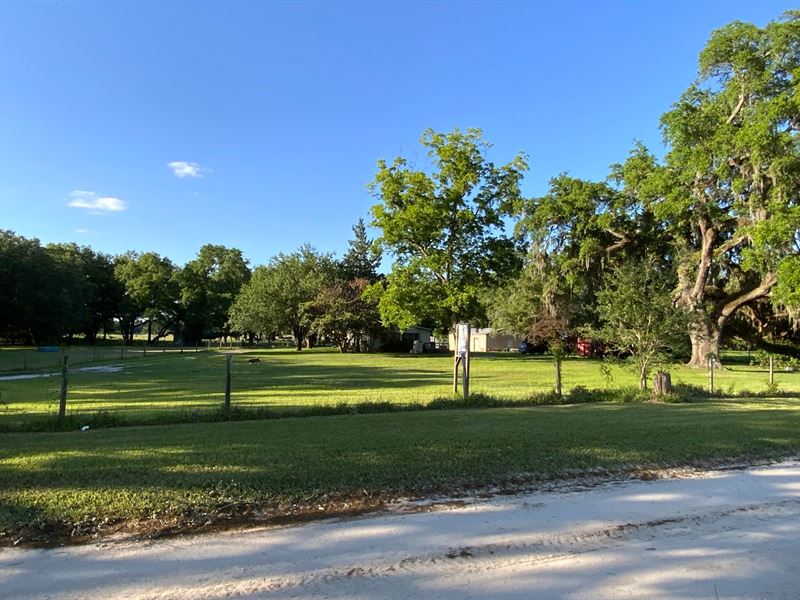 Perfect for Horses Or Cattle : Live Oak : Suwannee County : Florida