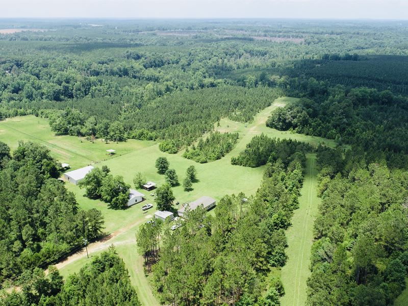 Holanna Creek Hunt Camp : Cuthbert : Randolph County : Georgia