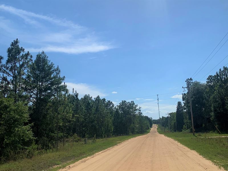 Hawthorne Residential Lots : Hawthorne : Putnam County : Florida