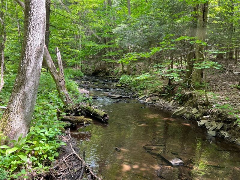 Beautiful South Facing Views : Orwell : Oswego County : New York