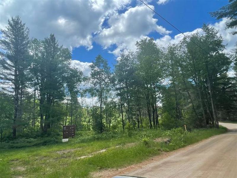 Western Adirondack Woodlands : Harrisville : Oneida County : New York