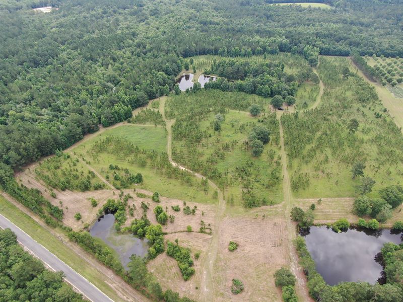 Great Hunting / Recreation Tract : Pearson : Atkinson County : Georgia