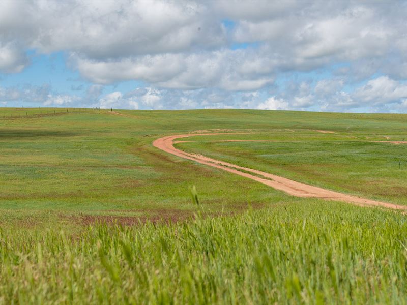 Campbell County Grass Pasture : Gillette : Campbell County : Wyoming