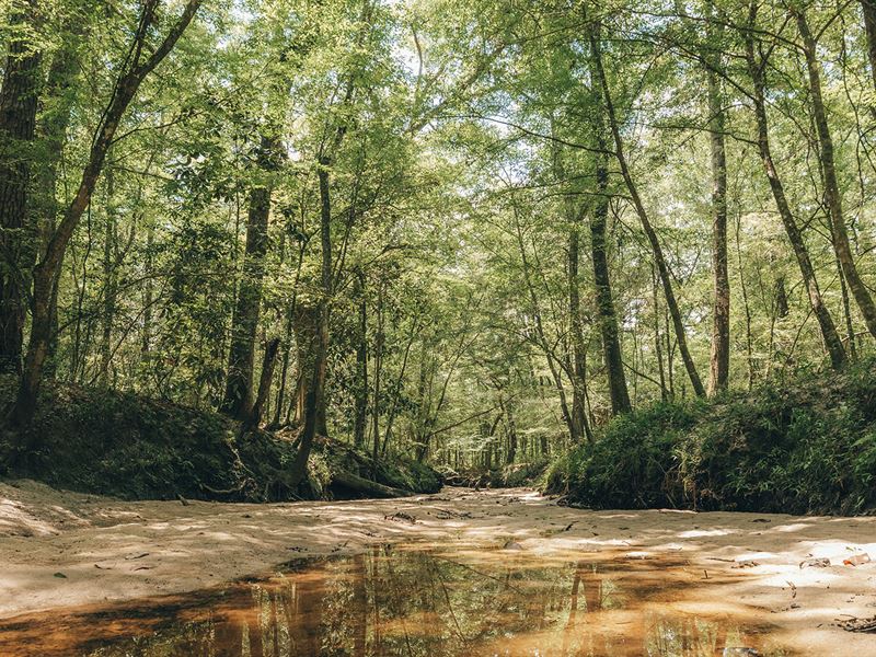 Apalachee Estates Tract 1 : Monticello : Leon County : Florida