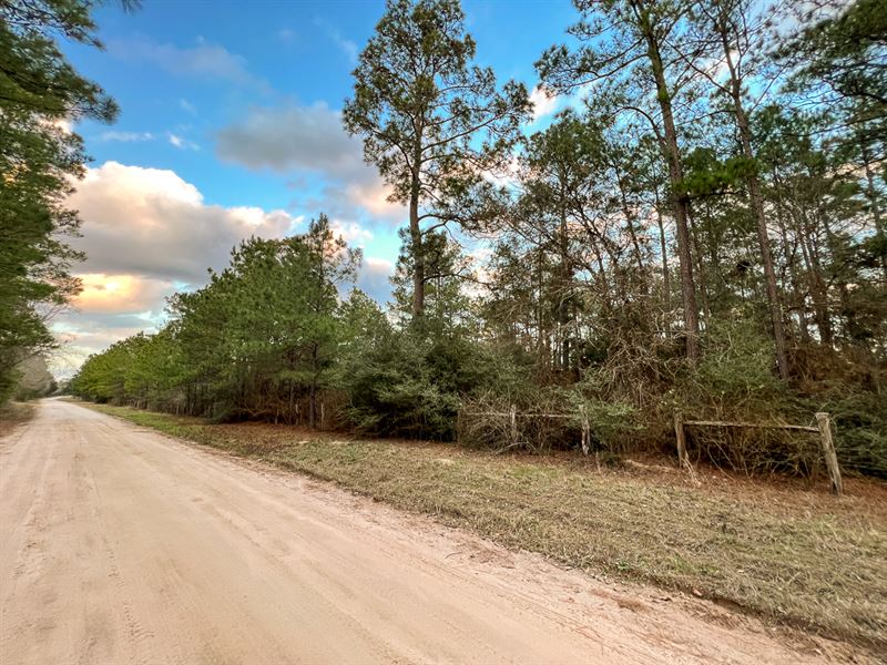 10 Acres, T-2 Loma Rd : Bedias : Walker County : Texas