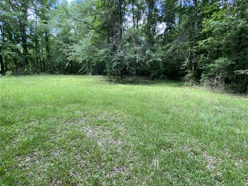 10 Acre Blank Canvas : Americus : Sumter County : Georgia