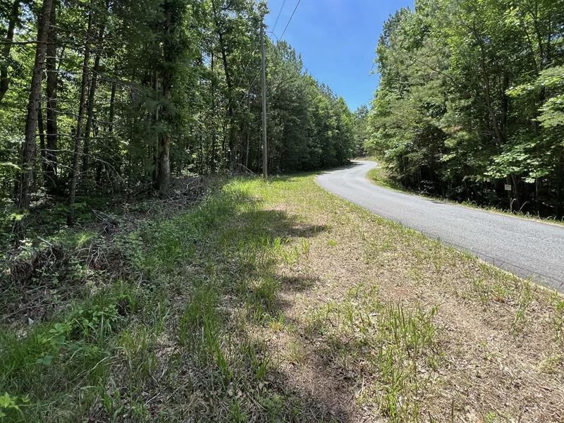 19.42 Acre Lot for Sale : Ellijay : Gilmer County : Georgia
