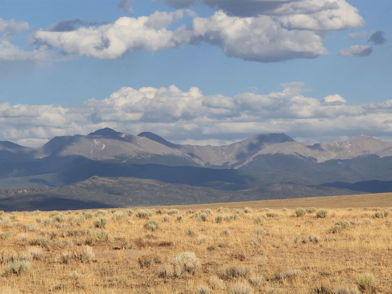40 with Views Of Mountains : Blanca : Costilla County : Colorado