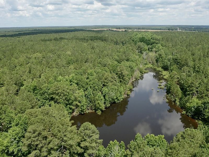 Pine Meadow Plantation : Oglethorpe : Macon County : Georgia