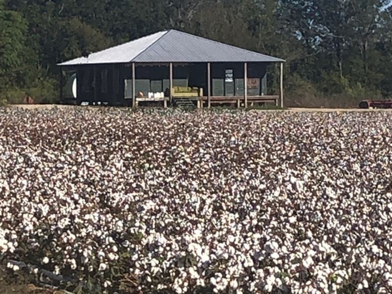 La, Richland 207 Acres : Bee Bayou : Richland Parish : Louisiana