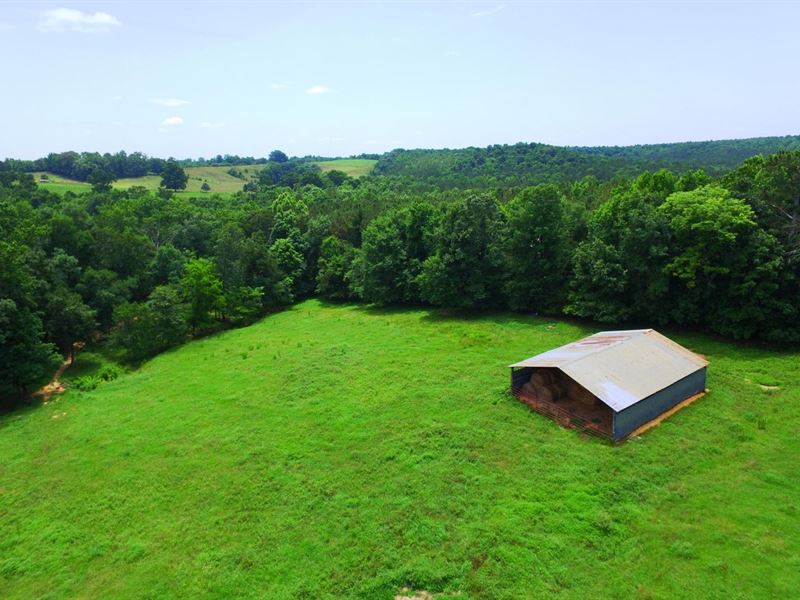 55 Acre Farm For Sale In Colber : Russellville : Colbert County : Alabama