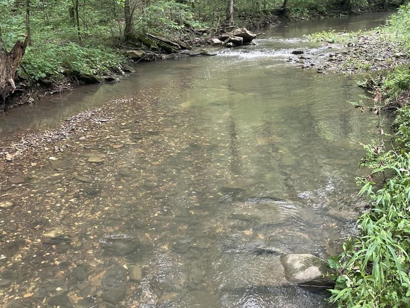 19 Acres, Creek, Stone Co, Moun : Mountain View : Stone County : Arkansas