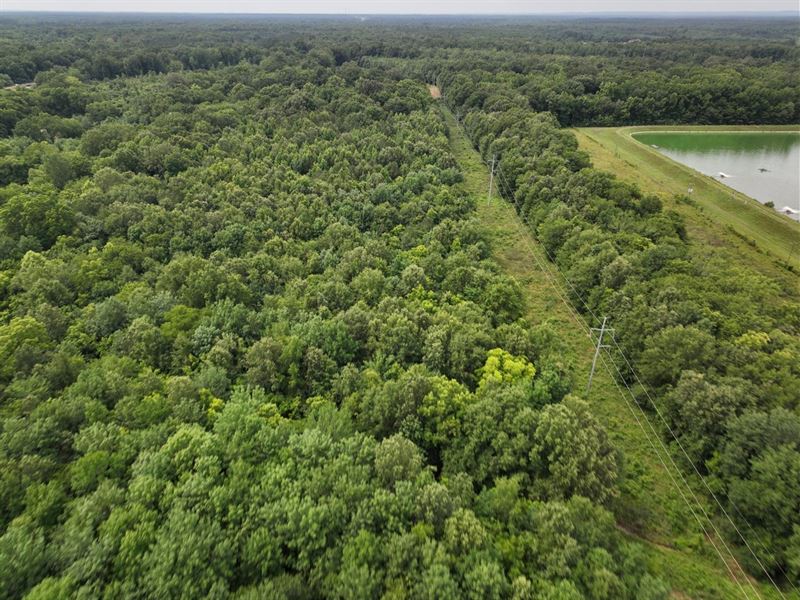 40 Acres in Noxubee County : Macon : Noxubee County : Mississippi