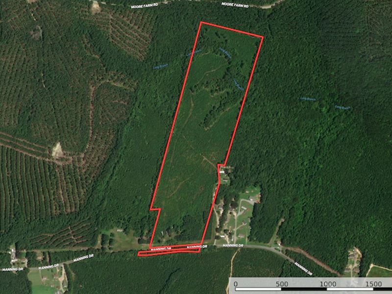 Reduced, 35.97 Acres of Investment : Valentines : Brunswick County : Virginia