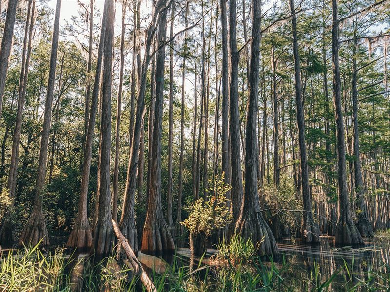 Apalachee Estates Tract 2 : Monticello : Jefferson County : Florida