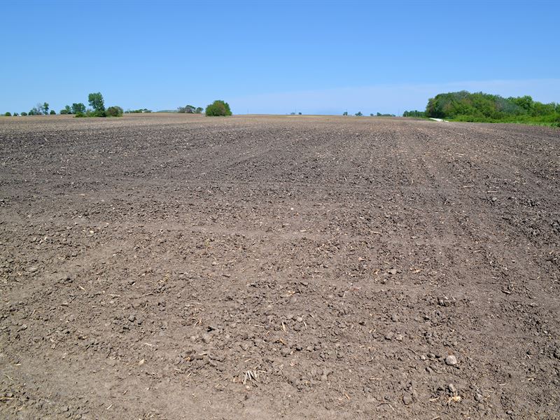 Land Auction in Newton County, In : Morocco : Newton County : Indiana
