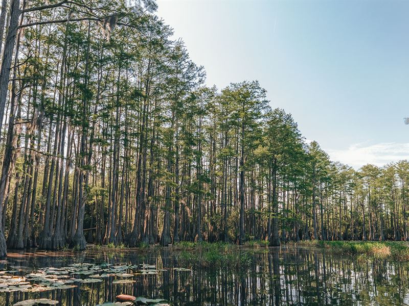 Apalachee Estates Tract 3 : Monticello : Jefferson County : Florida