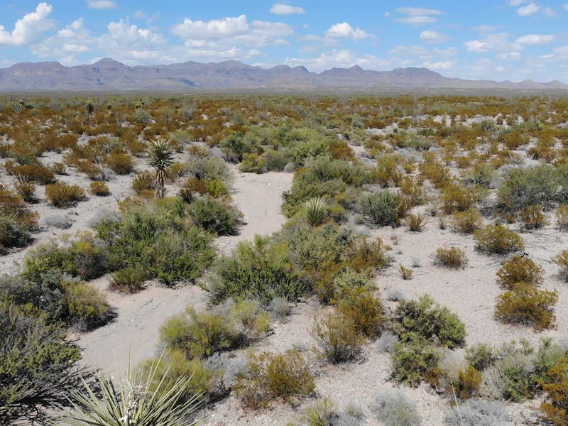 Remote 20 Acres with Easy Access : Adobes : Presidio County : Texas