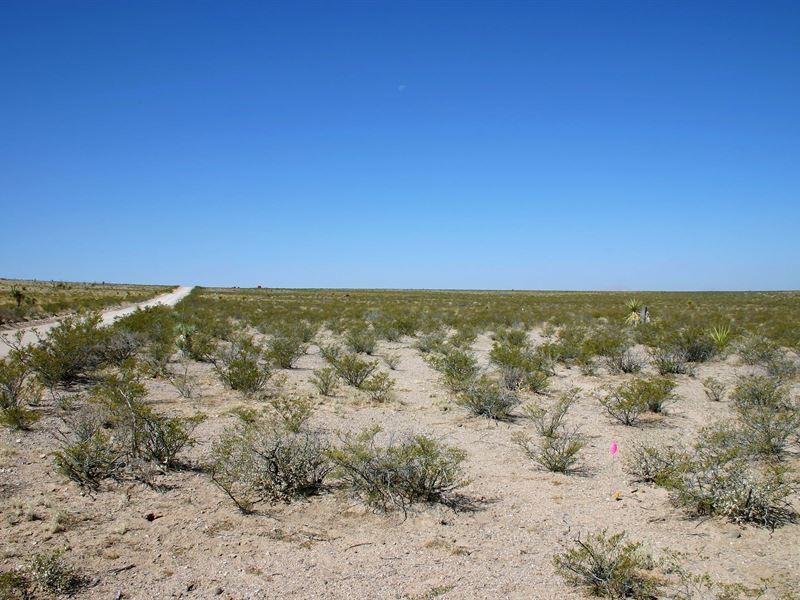 20 Acre Ranch to Call Your Own : Fort Hancock : Hudspeth County : Texas