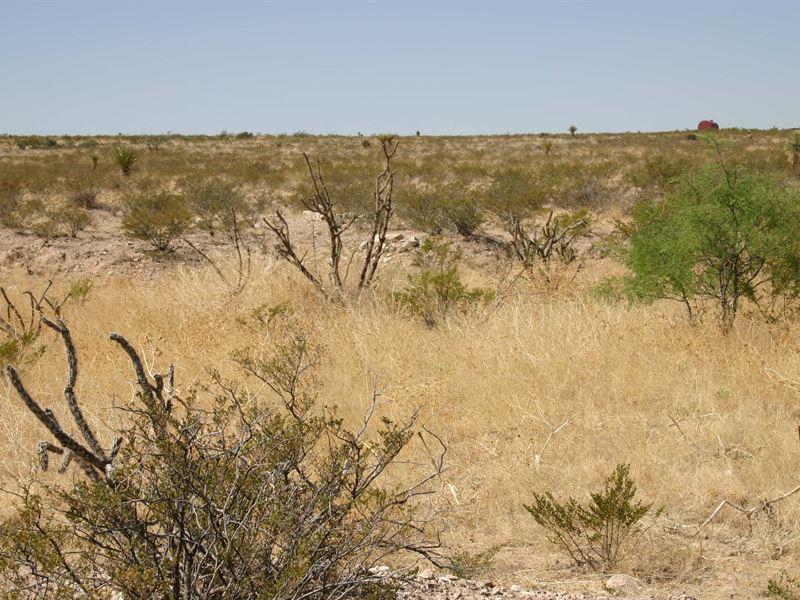 Beautiful TX 20 Acre Ranch Property : Sierra Blanca : Hudspeth County : Texas
