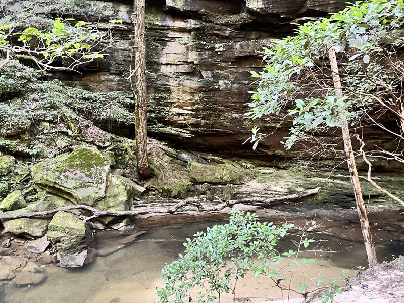 Kinlock Springs : Double Springs : Winston County : Alabama