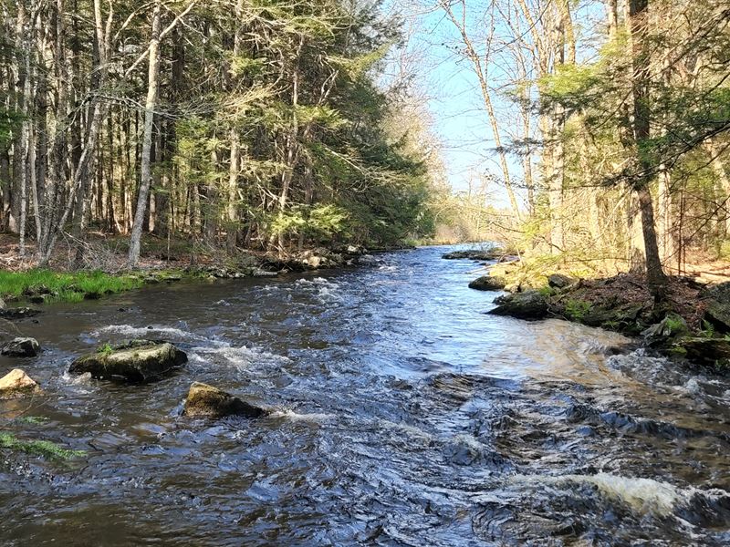Webb Brook : Waltham : Hancock County : Maine