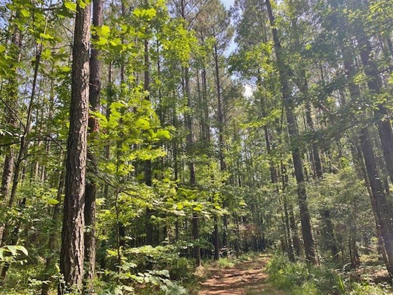 Home/Camp On 34 Acres in Amite Coun : Liberty : Amite County : Mississippi