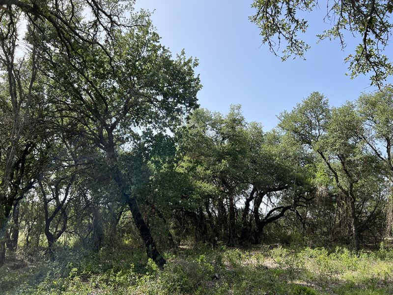The Ranches Hamilton Ridge, Lot 21 : Hamilton : Hamilton County : Texas