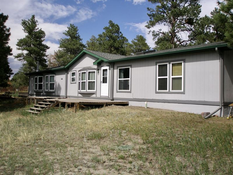 Bijou Basin Home & Land : Calhan : Elbert County : Colorado