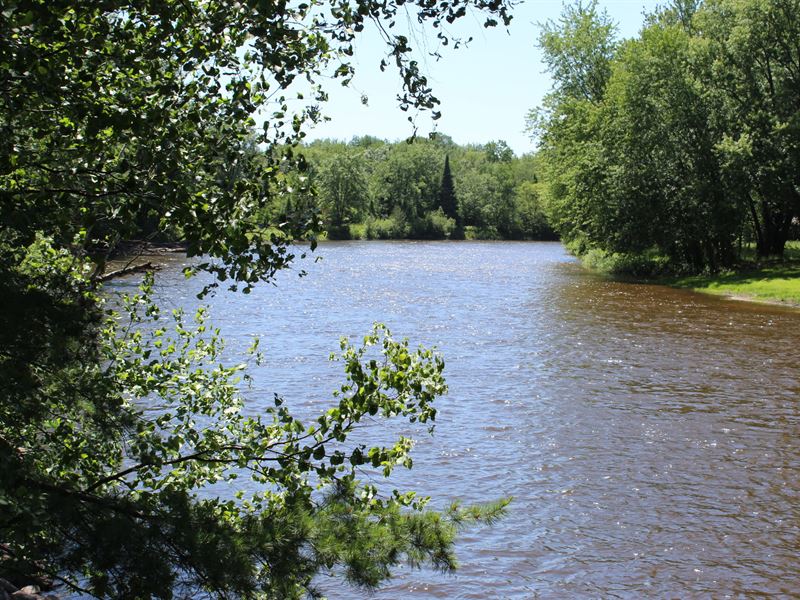Muskegon River 10 : Evart : Osceola County : Michigan