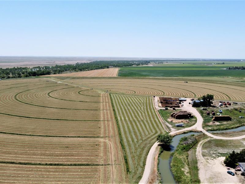 Logan County 290 Farm and Water : Sterling : Logan County : Colorado