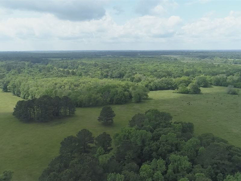 Walding Rd. 200 : Montgomery : Montgomery County : Texas