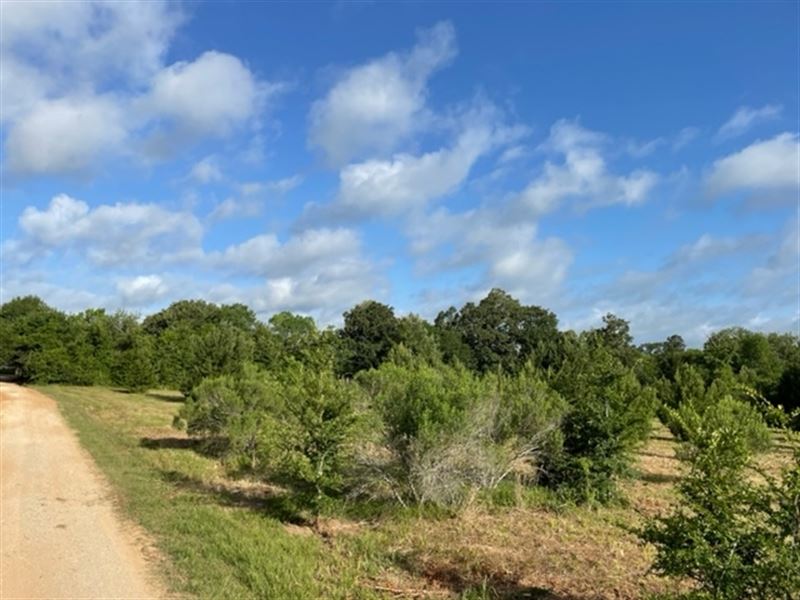 Old 105 West 15 : Montgomery : Montgomery County : Texas