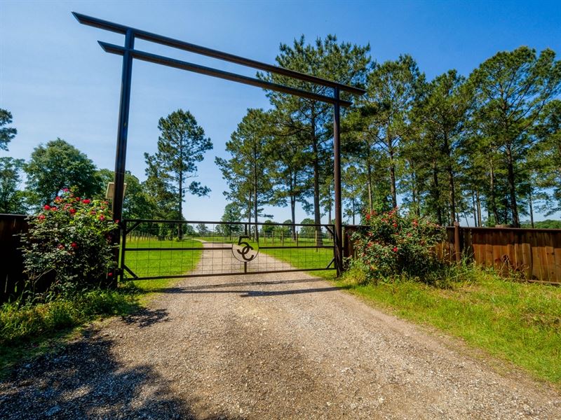 136.70 Acres in Cleveland, Texas : Cleveland : San Jacinto County : Texas