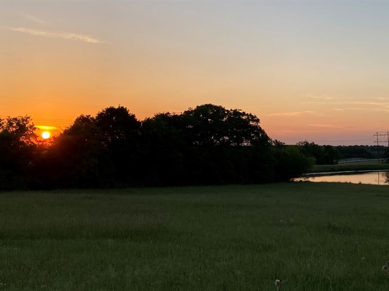 Bovista 23 : Navasota : Grimes County : Texas