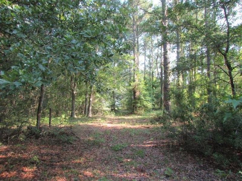 75 Acre Tract in Lowndes County : Valdosta : Lowndes County : Georgia