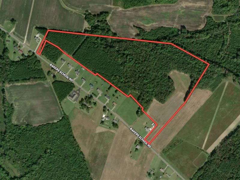 40.31 Acres of Fa : Scotland Neck : Halifax County : North Carolina