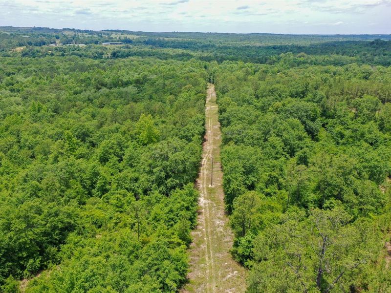 37 Acres in Autauga County : Prattville : Autauga County : Alabama