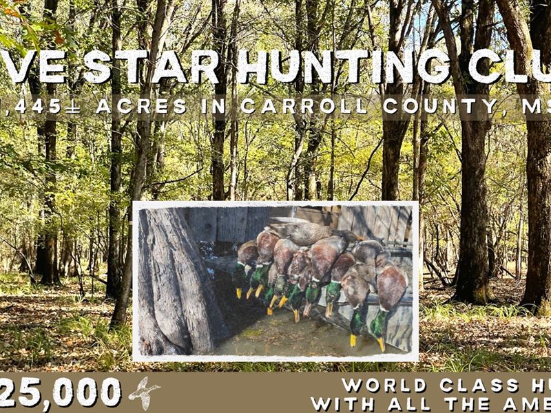 1445 Acres 5 Star Hunting Club : Carrollton : Carroll County : Mississippi
