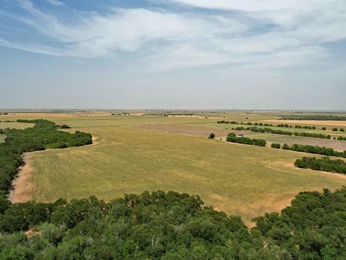 80.5 Ac, Burlington Farm : Burlington : Bell County : Texas