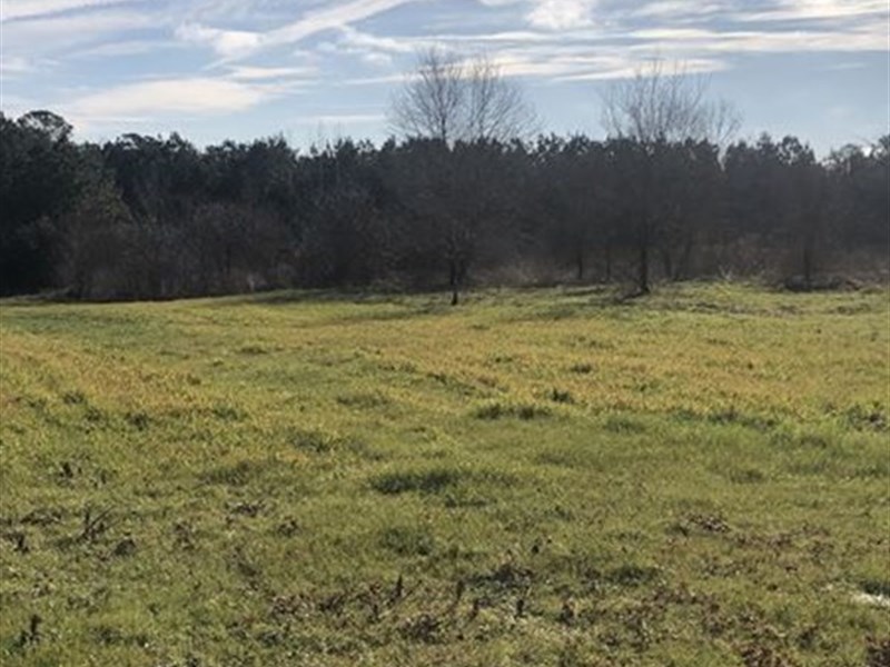 Becker Trust Tract : Tatum : Rusk County : Texas