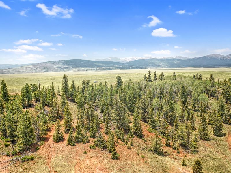 Colorado Wilderness Retreat : Fairplay : Park County : Colorado