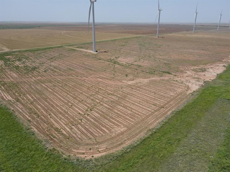 100Ac Cotton Farm : Haskell : Haskell County : Texas