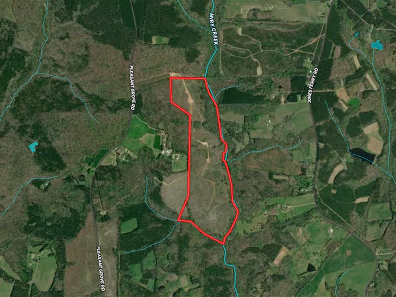 106 Acres of Hunting/Recreational : Halifax : Halifax County : Virginia