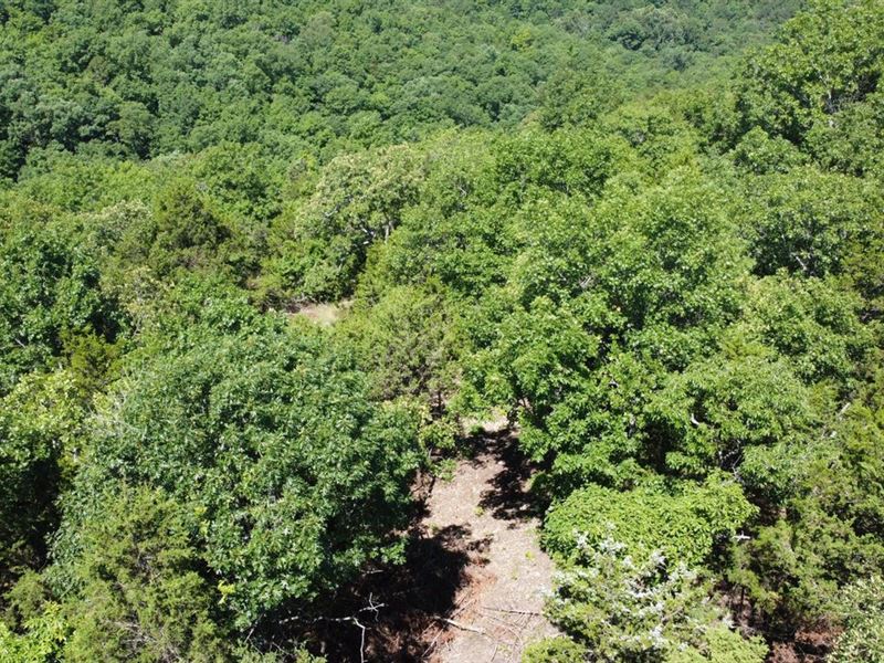 Boone County 15 Acres : Omaha : Boone County : Arkansas