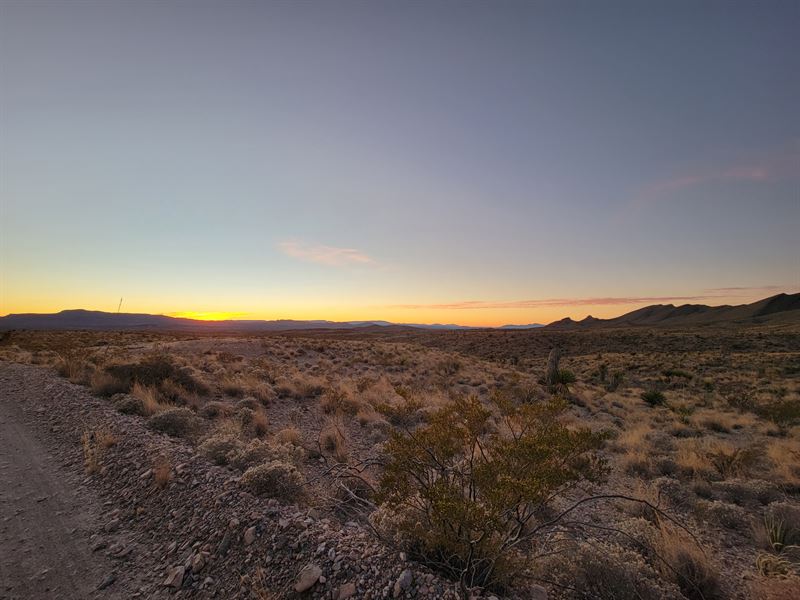 Find Self-Sufficiency in Texas : Presidio : Presidio County : Texas