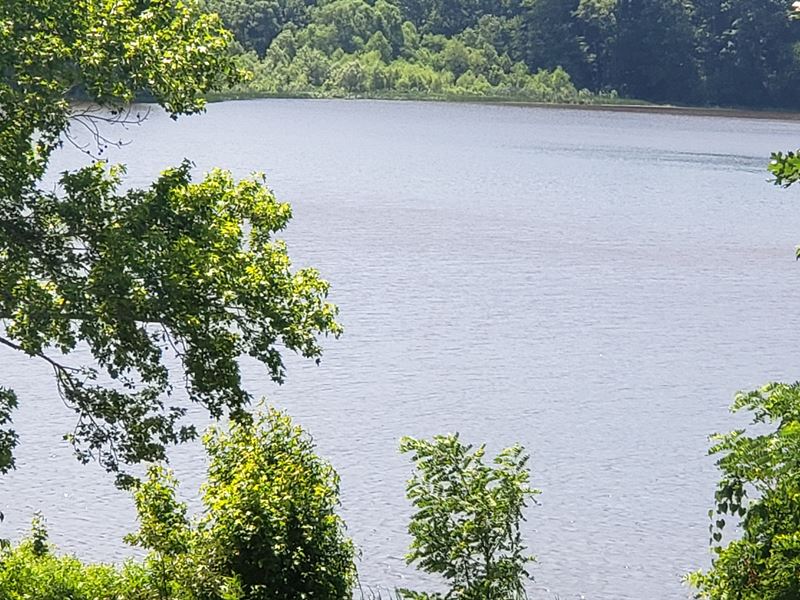 Land Fronting on The Lake : Nathalie : Halifax County : Virginia